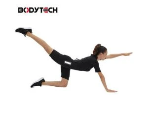 Sistema de entrenamiento EMS